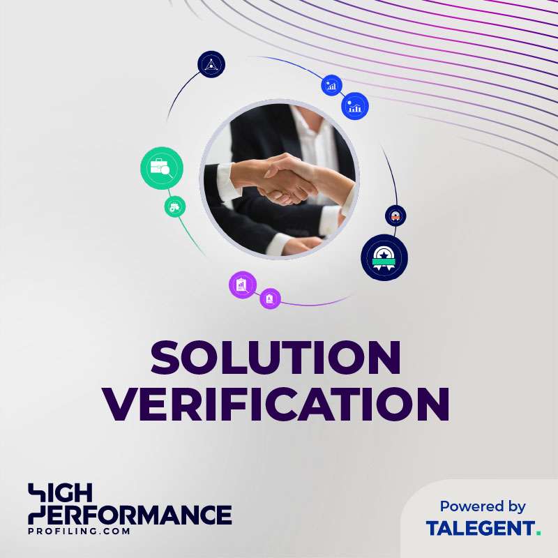 Solution Verification